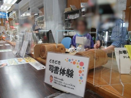 どきどきのようす