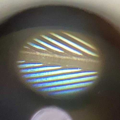 羽を顕微鏡を覗いている様子
