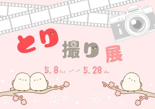 とり撮り展５月.jpg